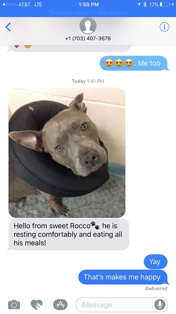 Deepwood Veterinary Clinic