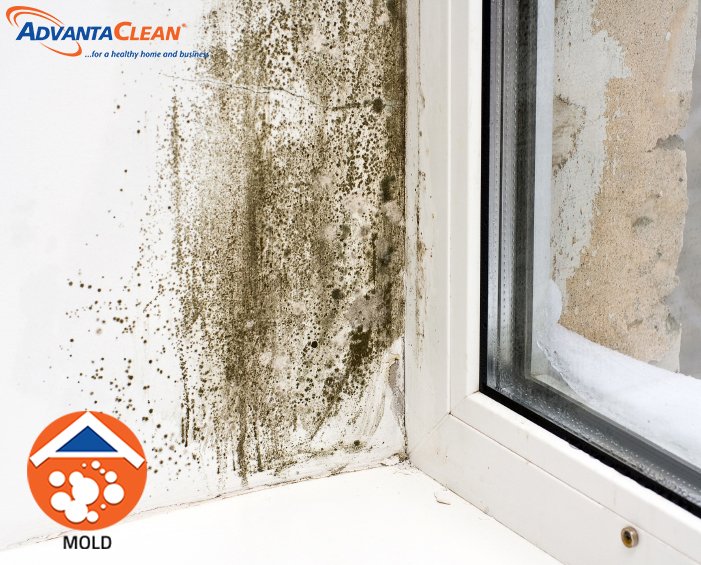 AdvantaClean of Charlotte