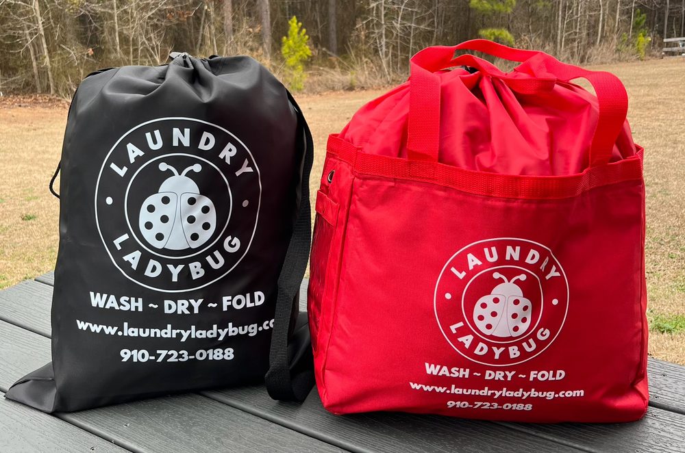 Laundry Ladybug