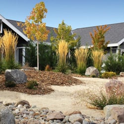 Signature Landscapes 33 Photos 41 Reviews Tree Removal Photo Of Signature Landscapes Reno Nv United States Bann Award Winner