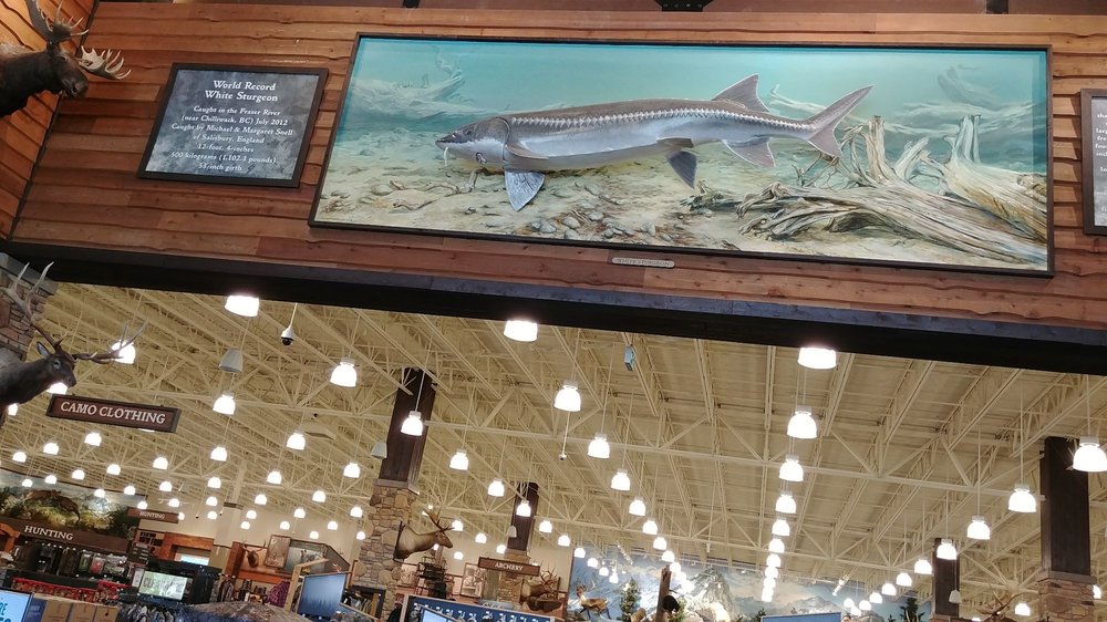 Cabela’s Sporting Goods 1818 Mccallum Road, Abbotsford, BC, Canada