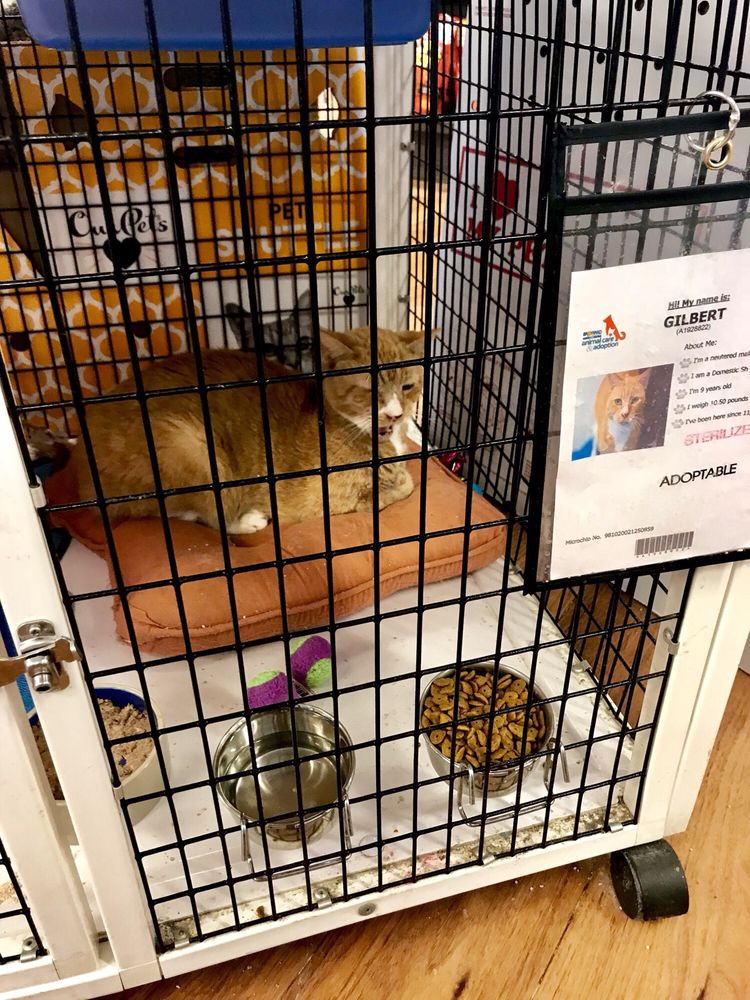 Pet Supermarket 20 Photos & 17 Reviews Pet Stores 3939 N Federal