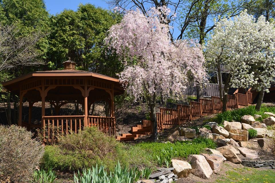 Willow Tree Grove