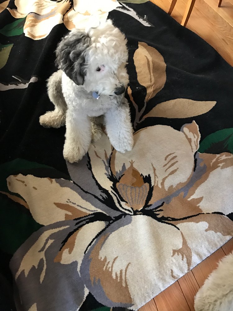 image of business The Rug Company