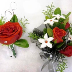 The Wild Iris Gifts Botanicals 32 Photos Florists 820 S 8th Photo Of The Wild Iris Gifts Botanicals Manitowoc Wi United States