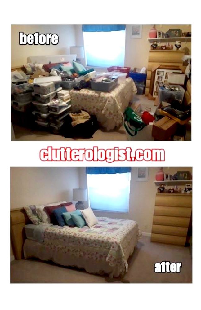 The Clutterologist