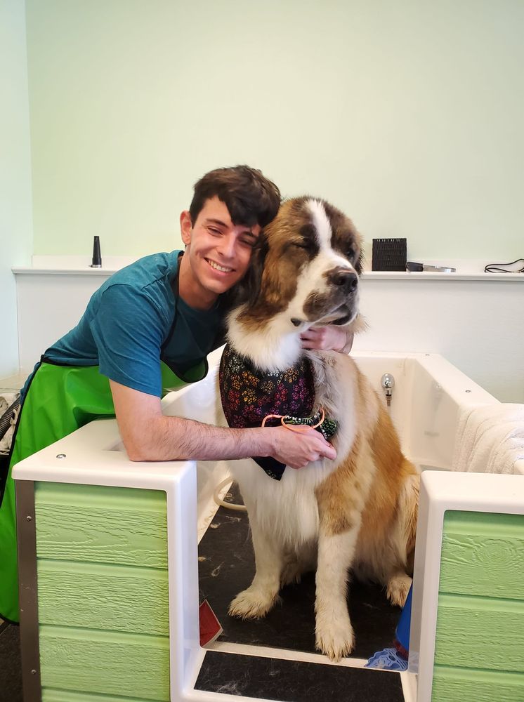 Animal House Self Service Dog Grooming