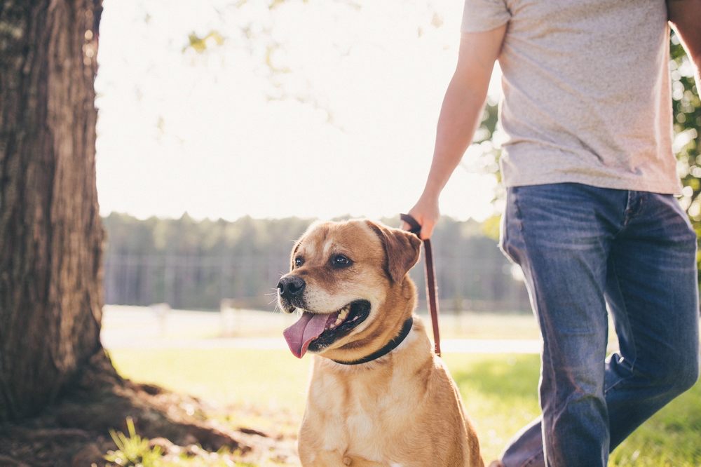 Miranda Lee Photography