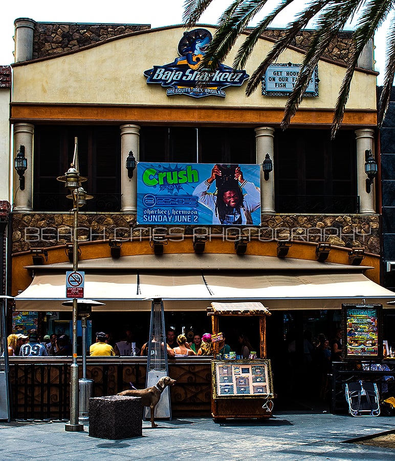 Beach Cities Photography Yelp Photo Of Baja Sharkeez Hermosa Beach Ca United States Cities Photography