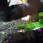 Splash Aquarium - 30 Photos & 75 Reviews - Local Fish