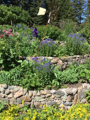 Spring Hill Nursery Gardens 1234 Nixon Rd Mount Shasta Ca Spring Hill Nursery Gardens 1234 Nixon Rd Mount Shasta Ca Nurseries Mapquest