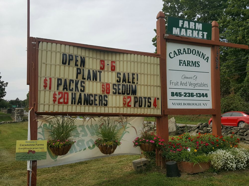 Caradonna Farms Farmers Market 1394 Route 9W, Marlboro, NY Phone