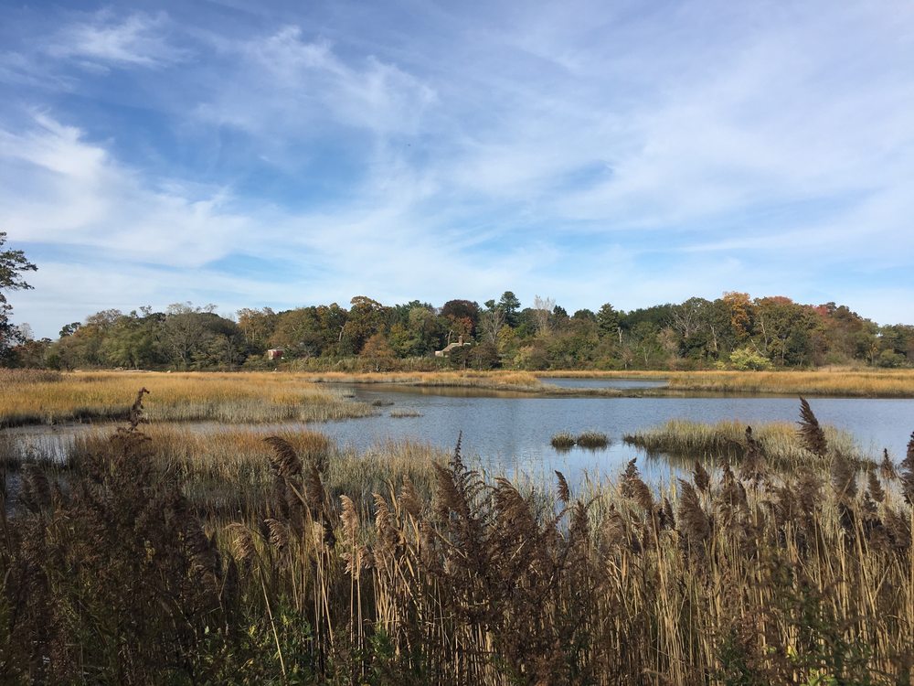 Welwyn Preserve County Park 53 Photos Parks 100 Crescent Beach Rd