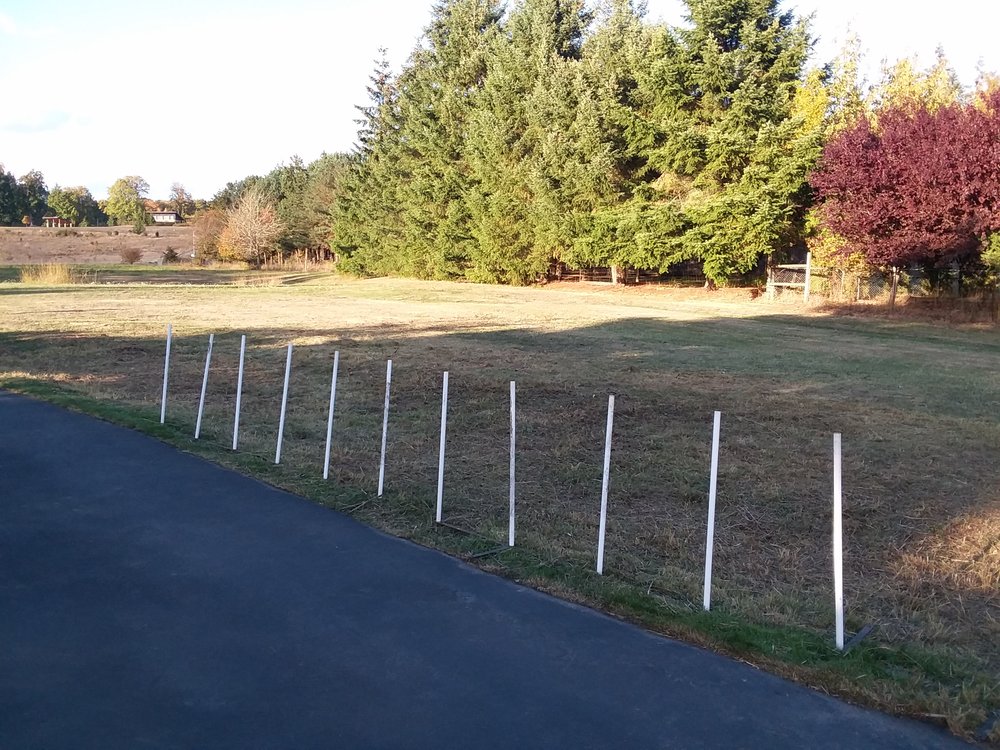 Kurb Apeal Landscaping