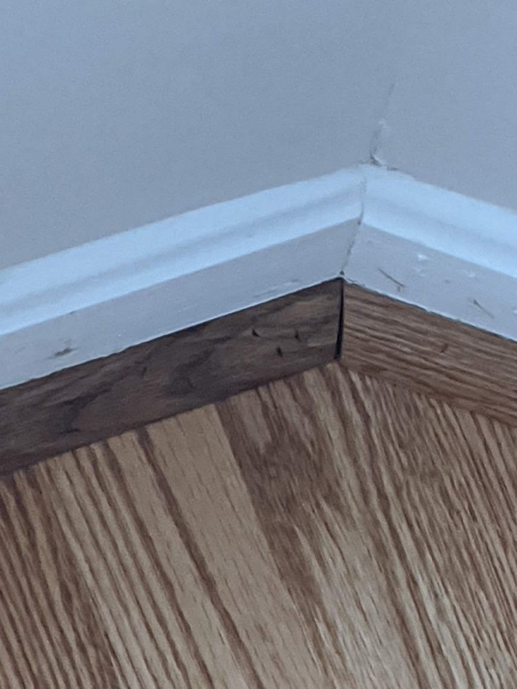 image of business Shumba Floors and Construction Services