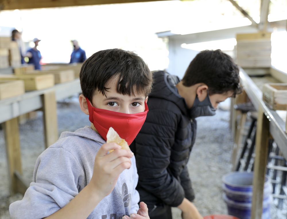 Foggy Mountain Gem Mine