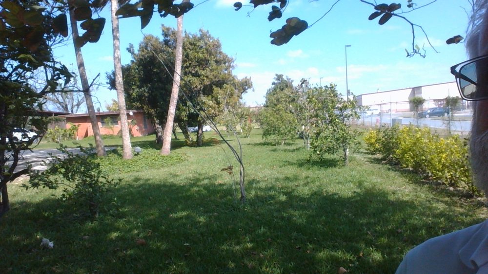 Quality Lawn Care & Landscaping