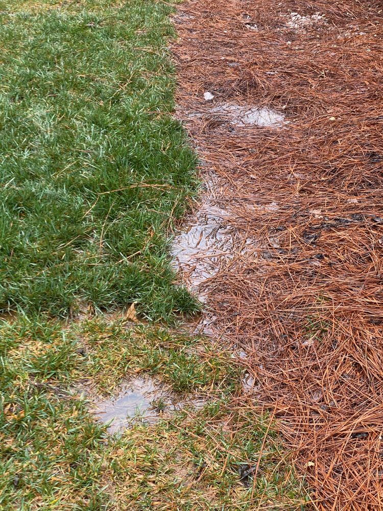 The Irrigation Doctor and Outdoor Lighting