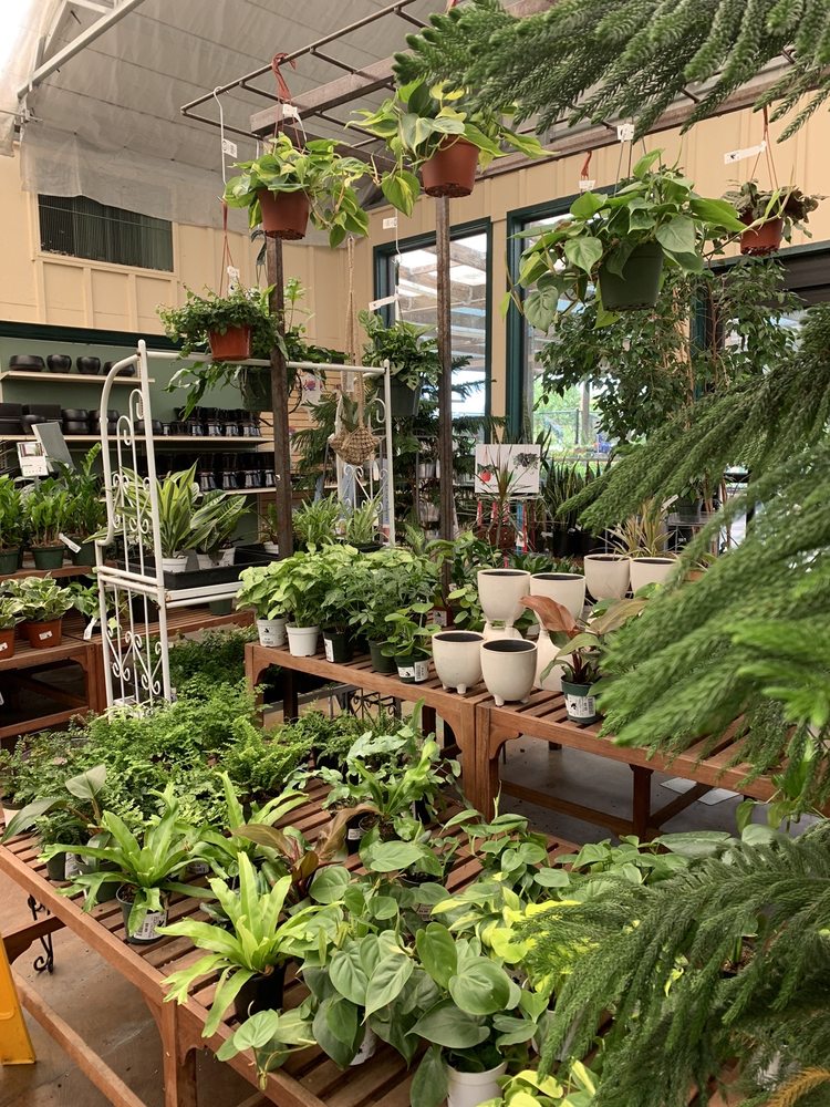Sloat Garden Center