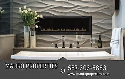 image of business Mauro Properties