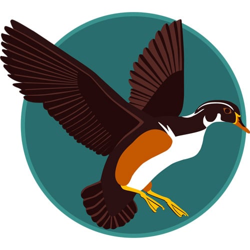 Absolute Moving & Storage