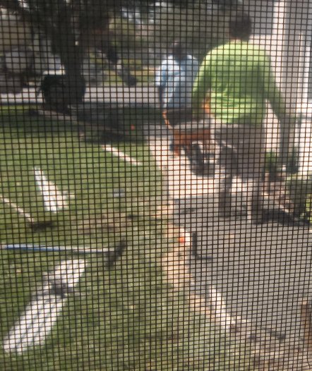 Donaldson Construction