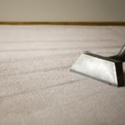 Carpet Cleaner New York 12 Photos Cleaning 215 E 81st Photo Of Carpet Cleaner New York Ny United States Www