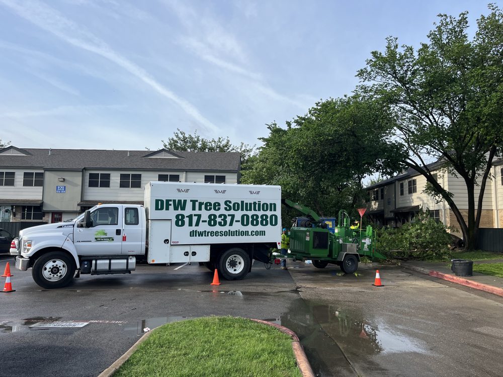 DFW Tree Solution