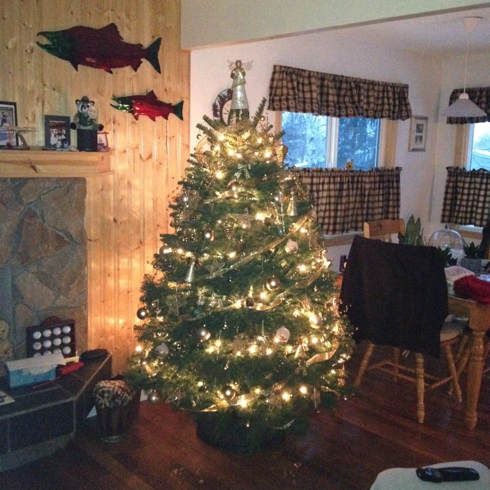 beautiful bells nursery christmas tree yelp beautiful bells nursery christmas tree yelp
