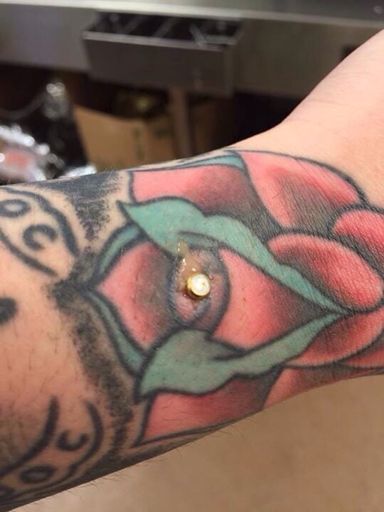 Exotic Impressions Body Piercing 30 Photos Piercing 10150 Dorchester Rd, Summerville, SC