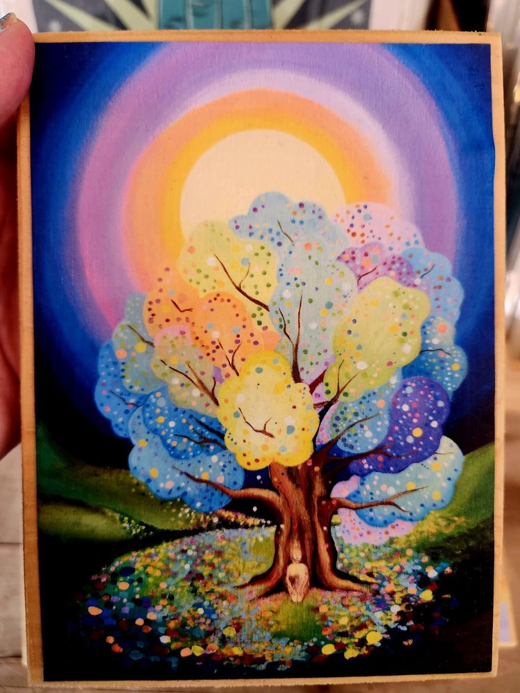 The Healing Shop of Woodstock