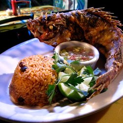 Tap Restaurant Order Online 701 Photos 645 Reviews Photo Of Tap Restaurant Miami Beach Fl United States Fried Yellow