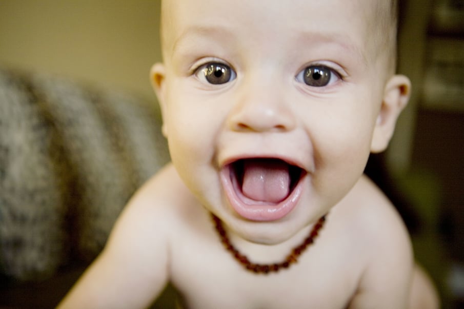 Nicolette Del Muro Photography