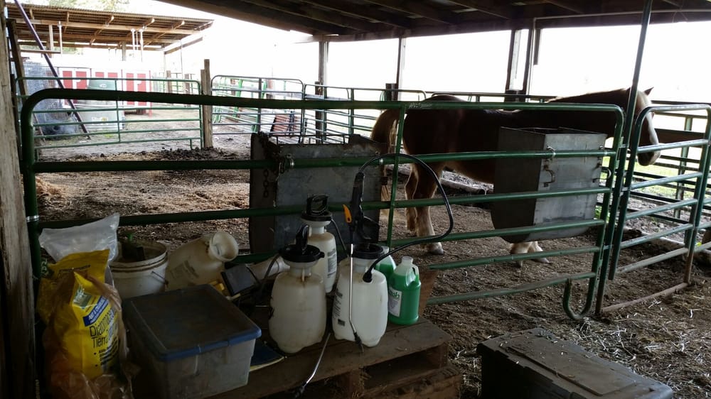 Topiary Farms Horse Boarding 5204 Maple Rd, Vacaville, CA Phone