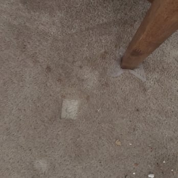 Stephson Carpet Cleaning 21 Photos Home Pickerington Photo Of Stephson Carpet Cleaning Pickerington Oh United States This Is A