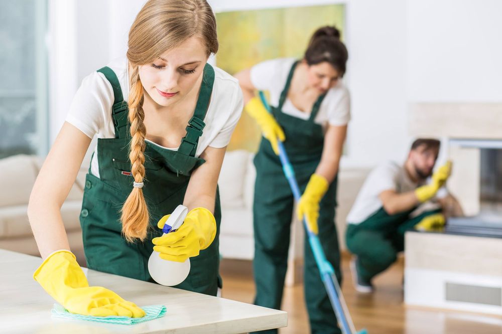 Rhino Cleaning Co