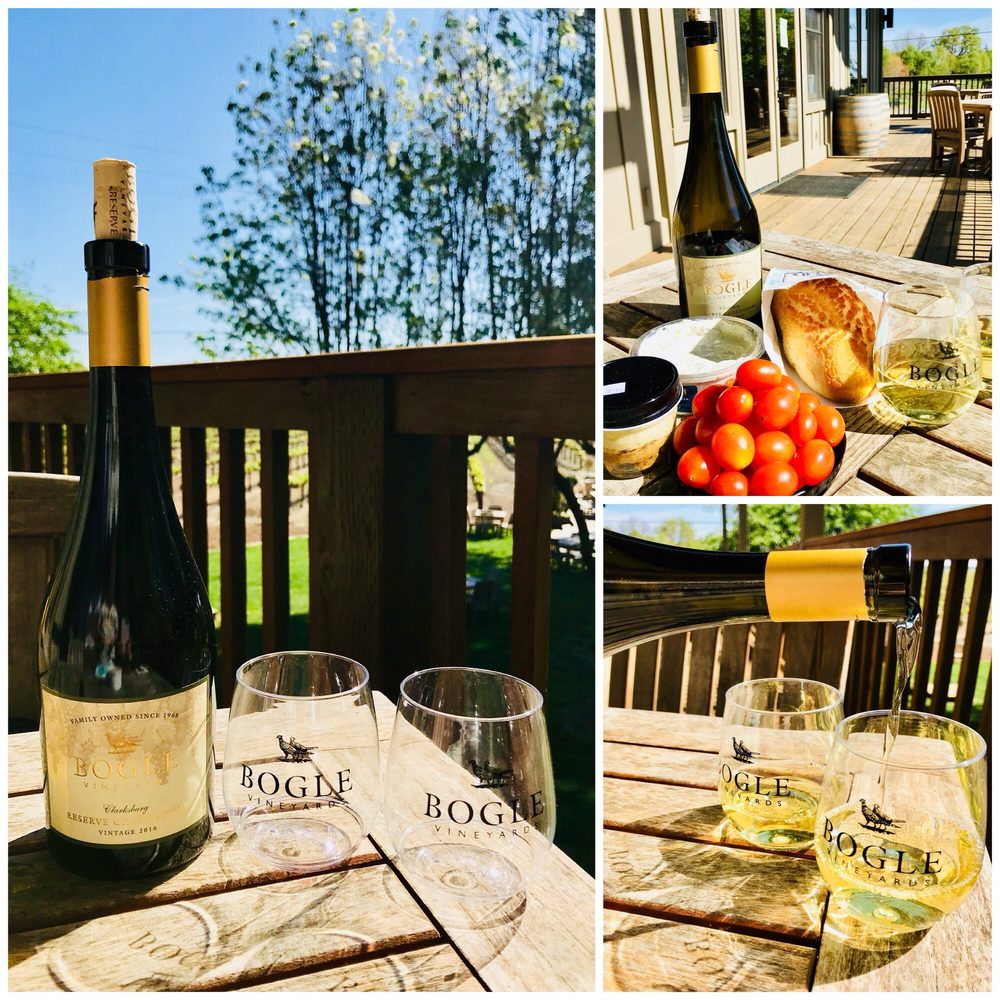 Beautiful Bogle In Clarksburg Ca Yelp Photo Of Bogle Vineyards Clarksburg Ca United States Beautiful In