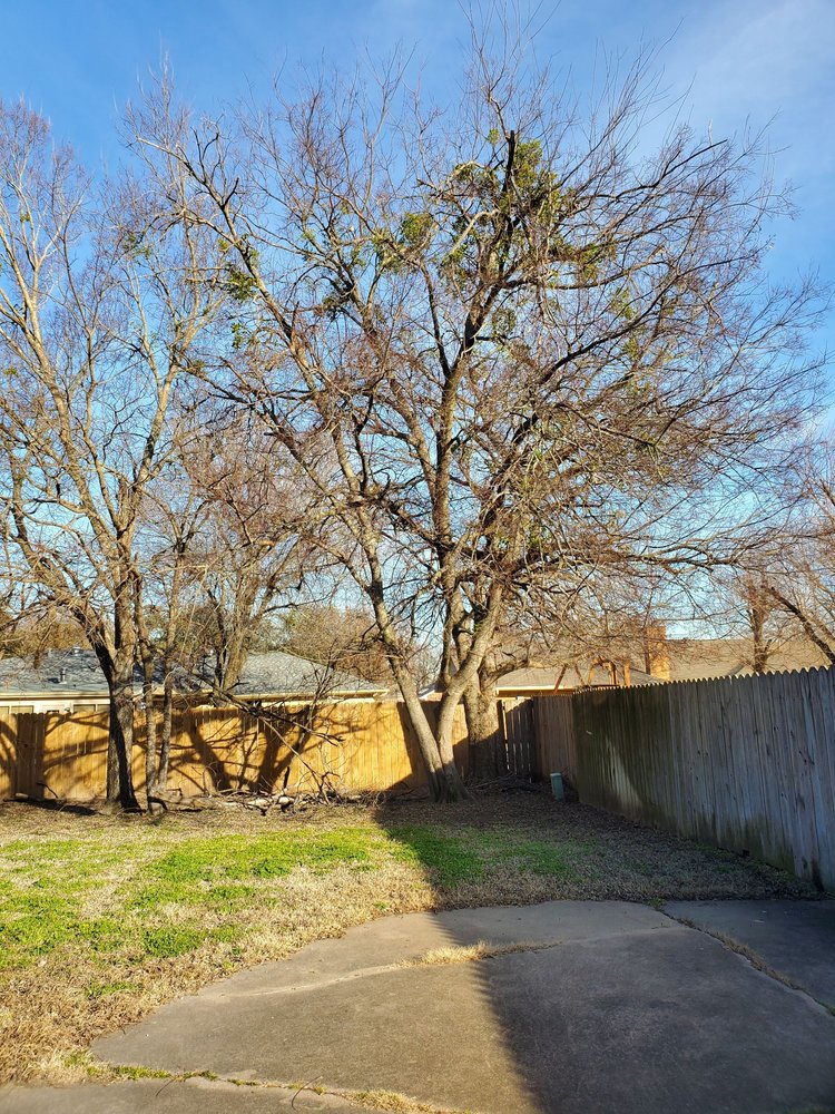 Legacy Tree Service