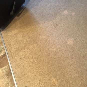Rug Rescue Carpet Upholstery Cleaning 156 Photos