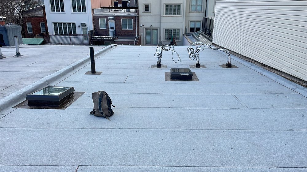 BBQ Roofing