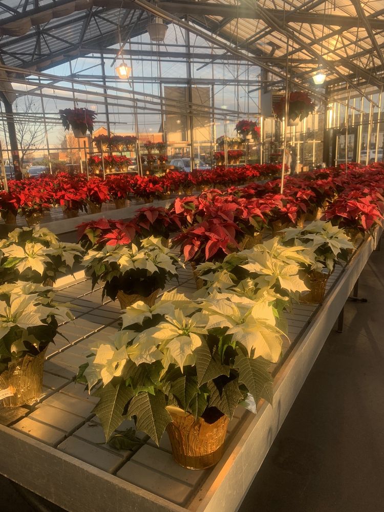 Chuck Hafners Farmers' Market & Garden Center