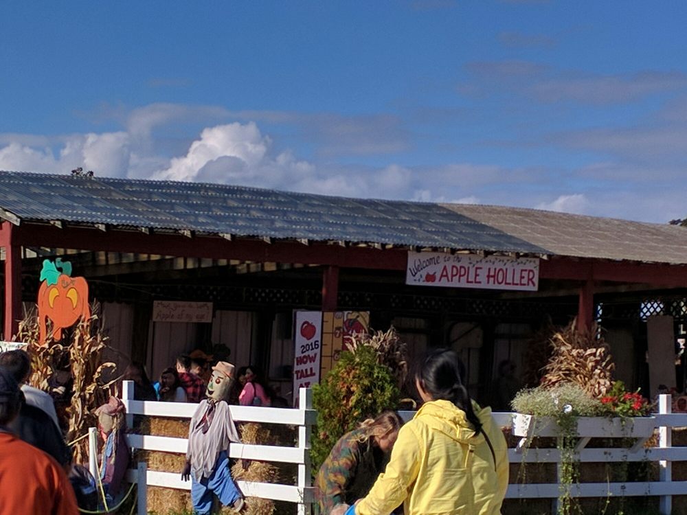 Apple Holler 160 Photos & 265 Reviews American (Traditional) 5006