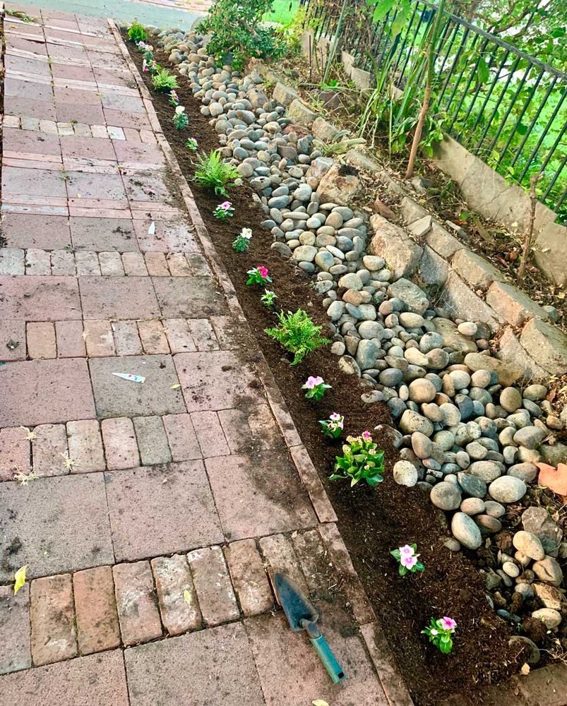 Bert's Gardening
