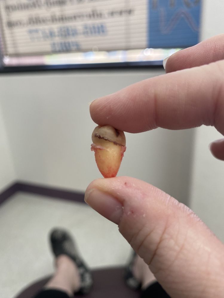 image of business Albert J Hernandez, DDS