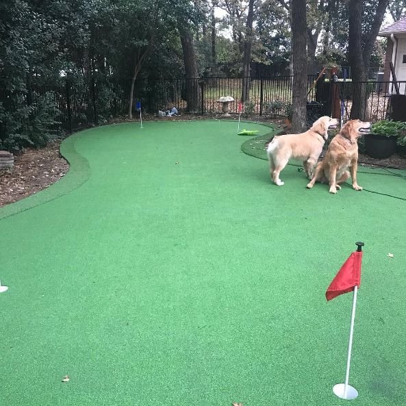 Purchase Green Artificial Grass