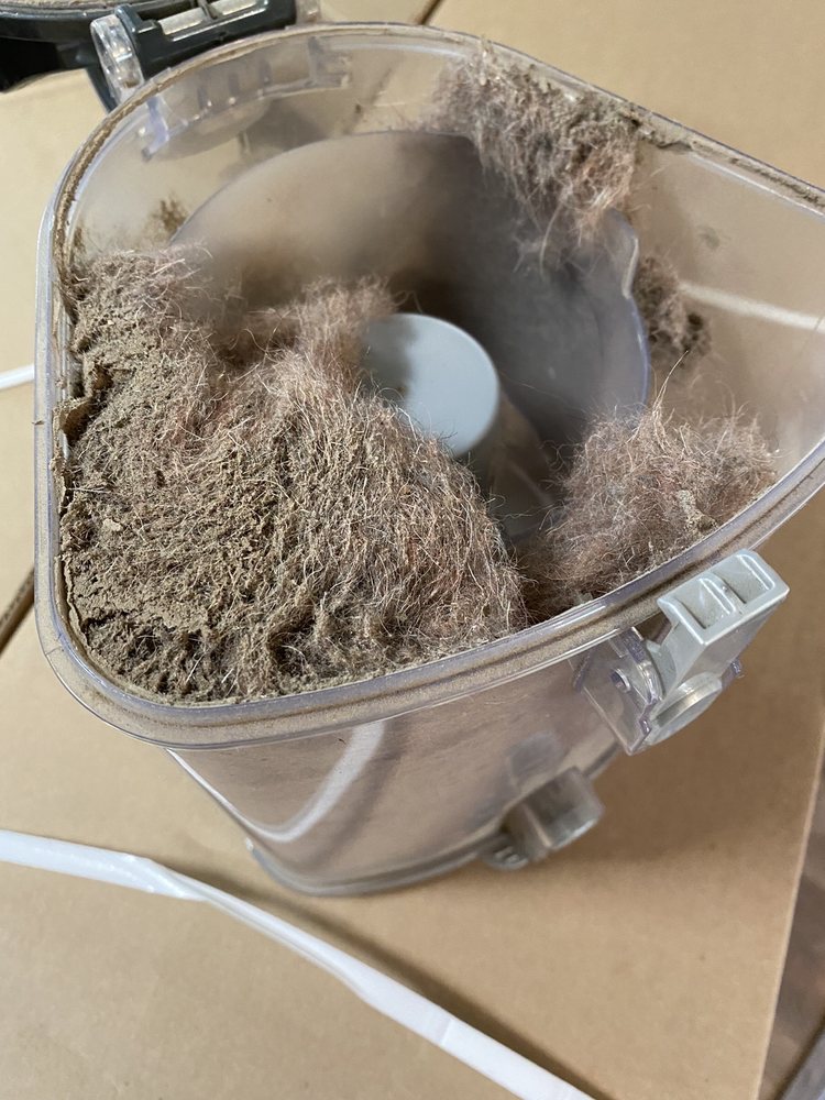 Safe-Dry® Carpet Cleaning