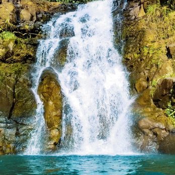 Island - Waterfalls&Wildlife + Landscape&Buildings (DEUTSCHE VERSION) (German Edition)