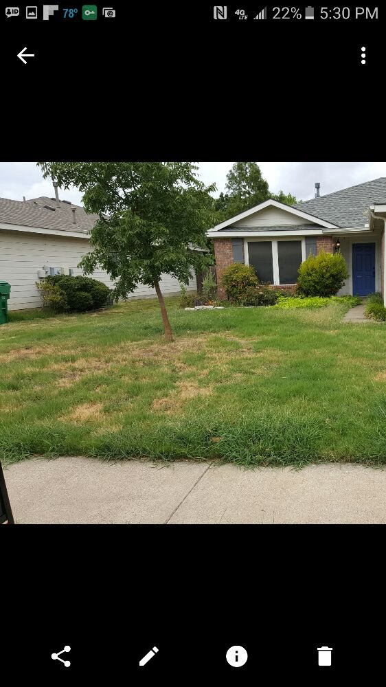 AM Lawn Care