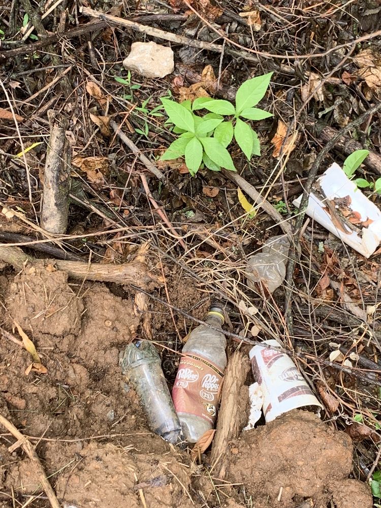 image of business Riverstone Homes