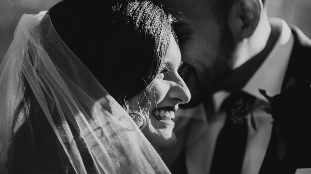Moth + Moonlite Photography
